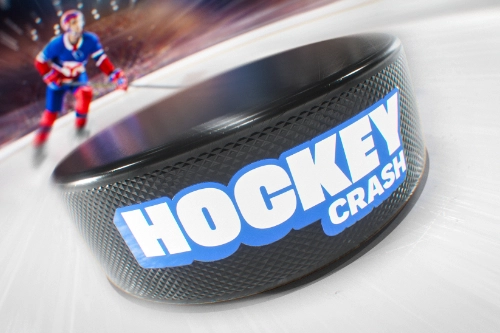 07984 hockey crash